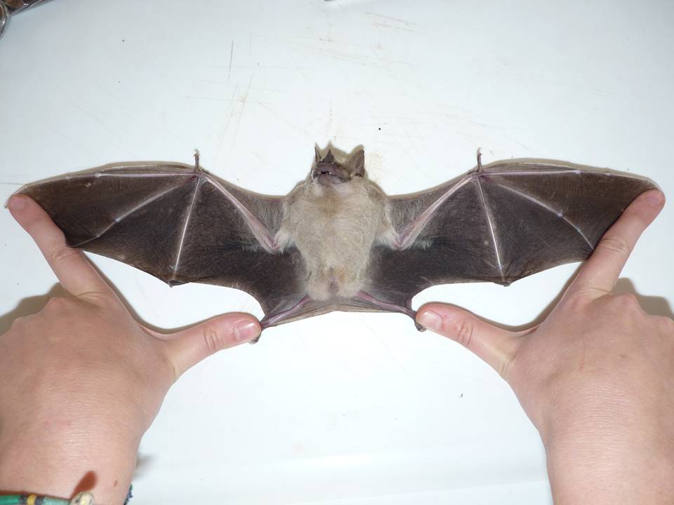 FIGURE 3 FIGURE 3